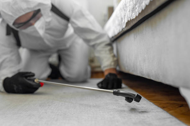 Professional Termite Control technician working in Massachusetts, MA